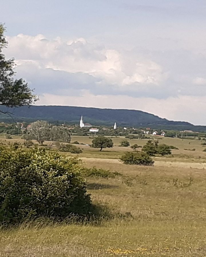 Irány fogatokkal a Káli-medence