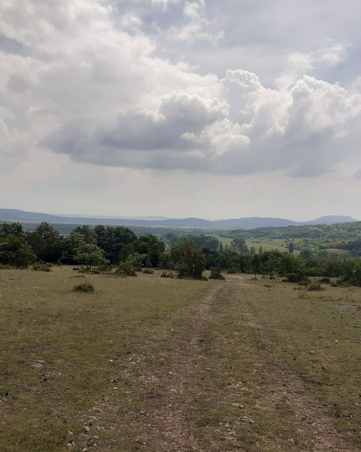 Irány fogatokkal a Káli-medence