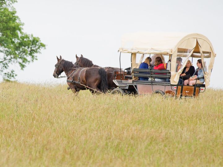 Irány fogatokkal a Káli-medence