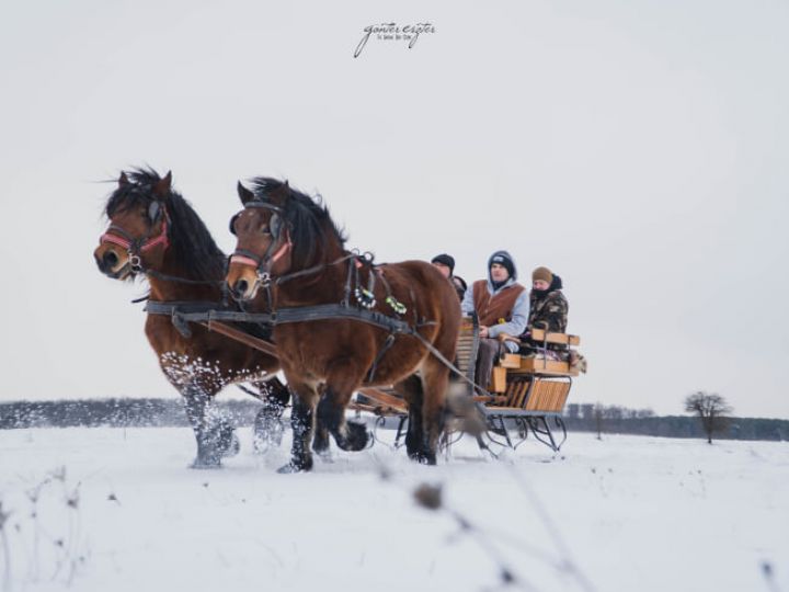 Lovas szánozás (2022)