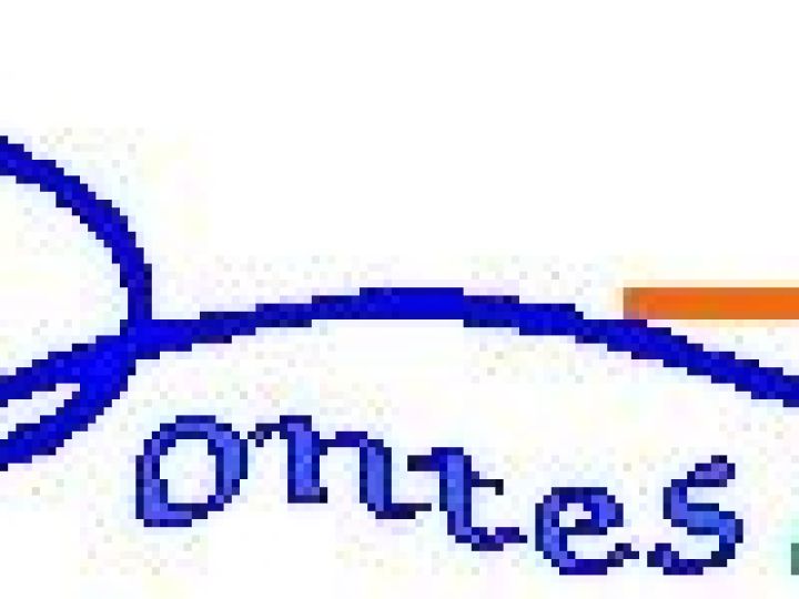 Pontes Alapítvány - 20 év fotói