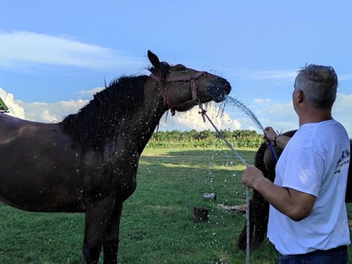 Gyermektábor fotói (tanyás gazda)