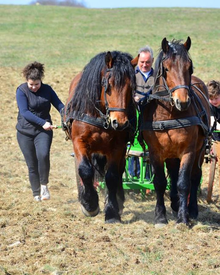 Indul a gazdAkadémia
