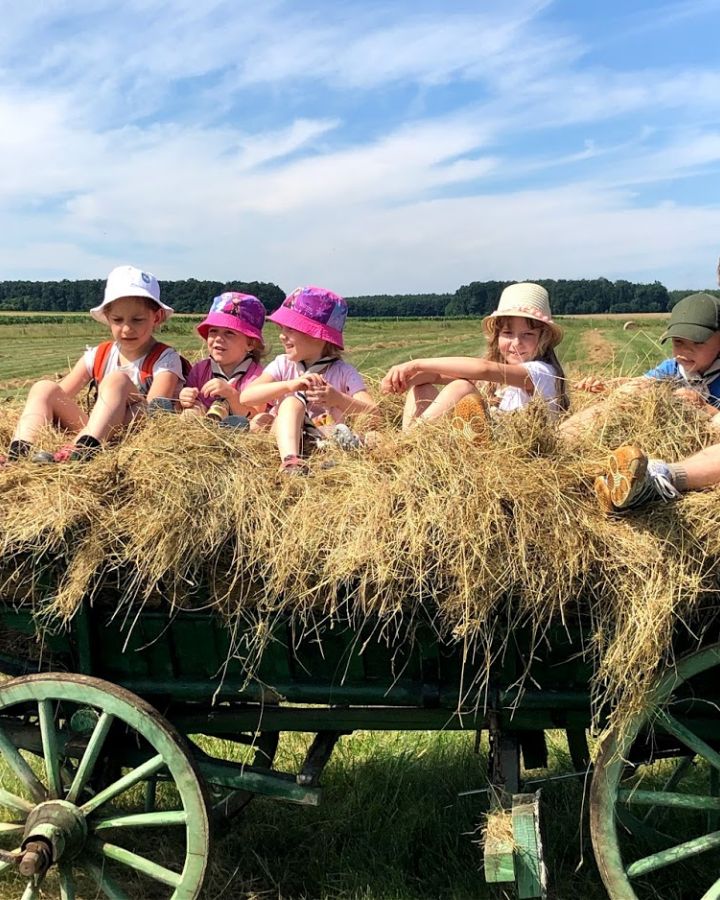 Cserkészek táboroztak és ismerkedtek a hagyományos szénakészítéssel 