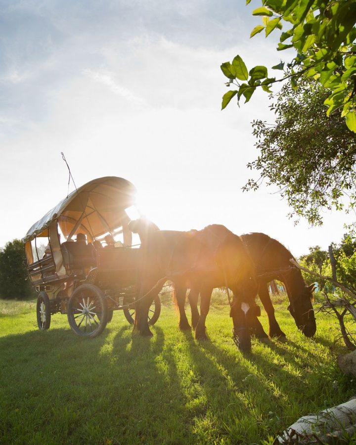 Három-napos exkluzív Balaton-felvidék lovas kocsi-túrák leírása