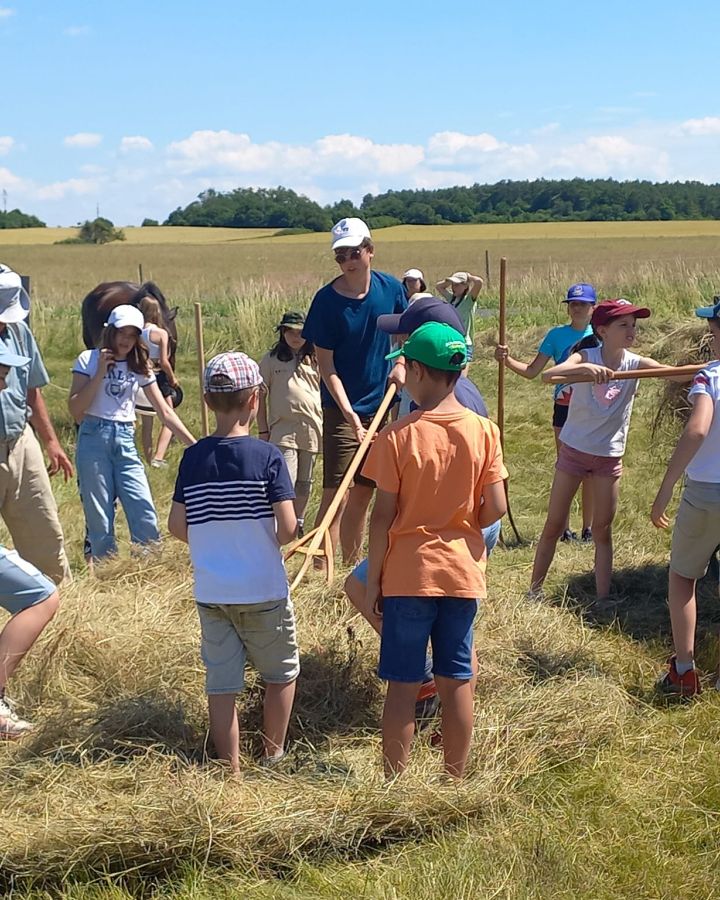 Tanyás Gazda Gyermek- és ifjúsági tábor