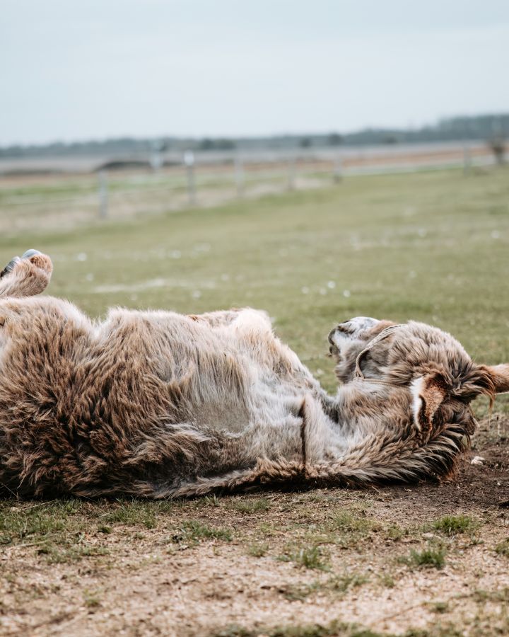 Nyitott birtok - meglepetésekkel