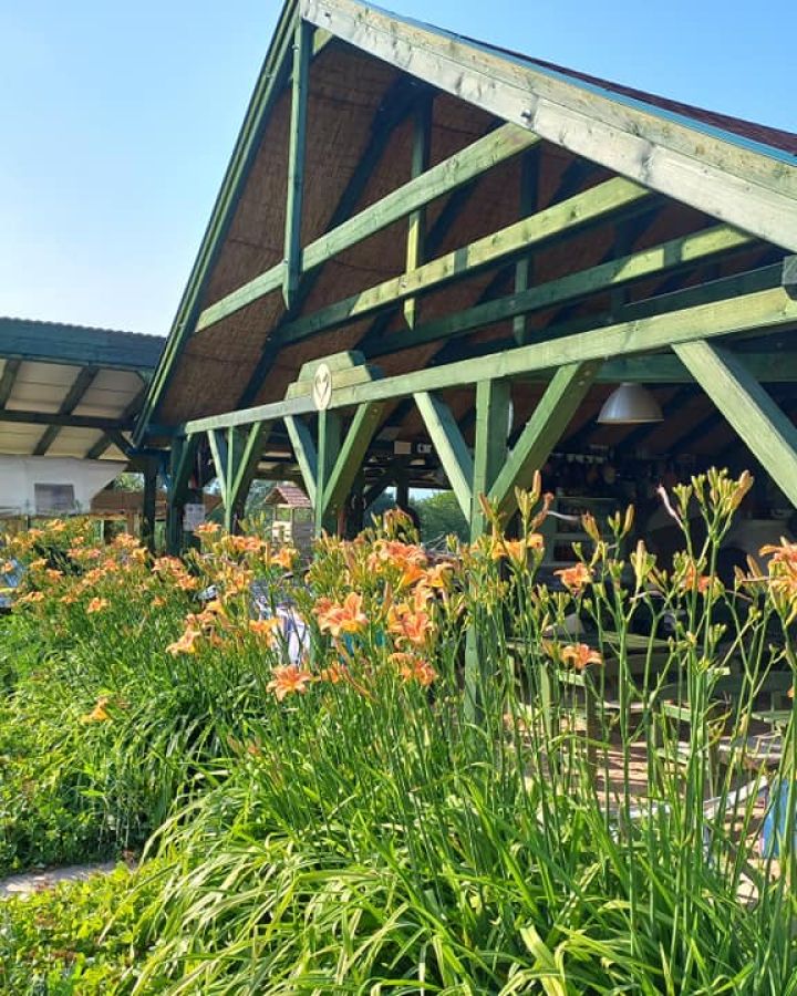 Nyitott birtok - meglepetésekkel