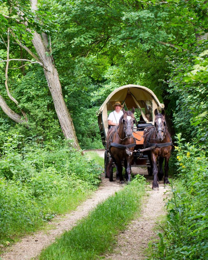 Foglaljon online fogatos, lovas kocsi-élményt