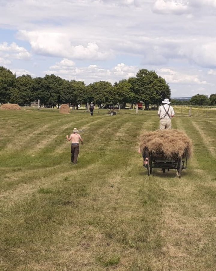 Cserkészek táboroztak és ismerkedtek a hagyományos szénakészítéssel 