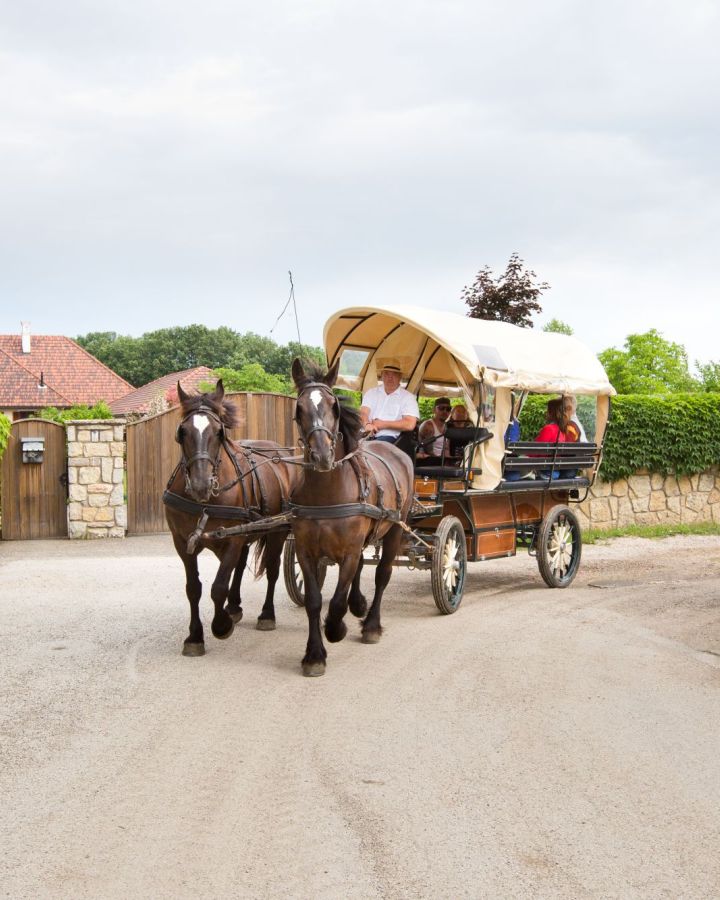 Foglaljon online fogatos, lovas kocsi-élményt