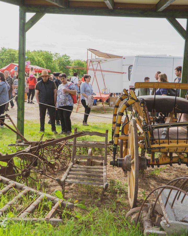 Állatvásár-szabályok, mit igen és mit nem