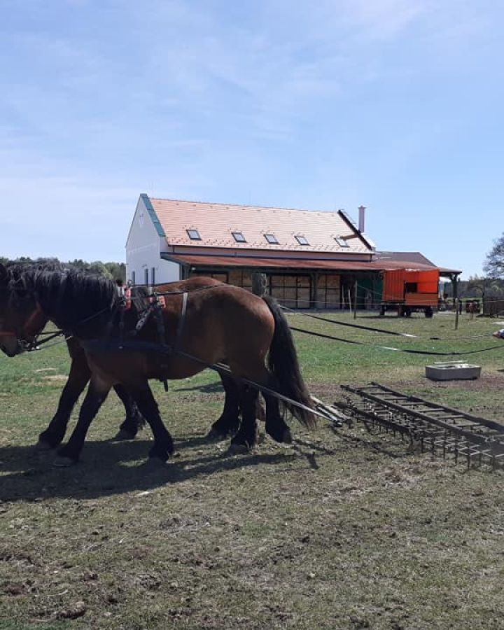 Indul a gazdAkadémia