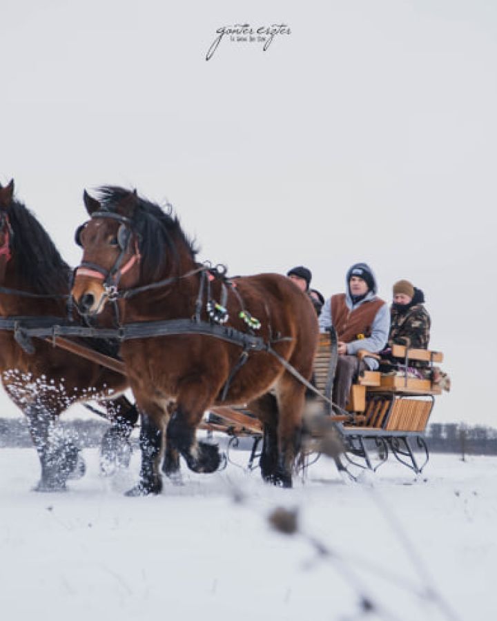 Lovas szános / fogatos, lovas kocsi téli naplemente túrák Nagyvázsonyban - de vásárolható ajándékkupon is!
