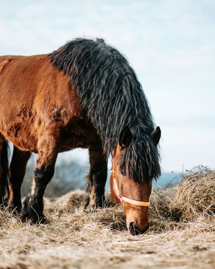 Nyitott birtok - meglepetésekkel