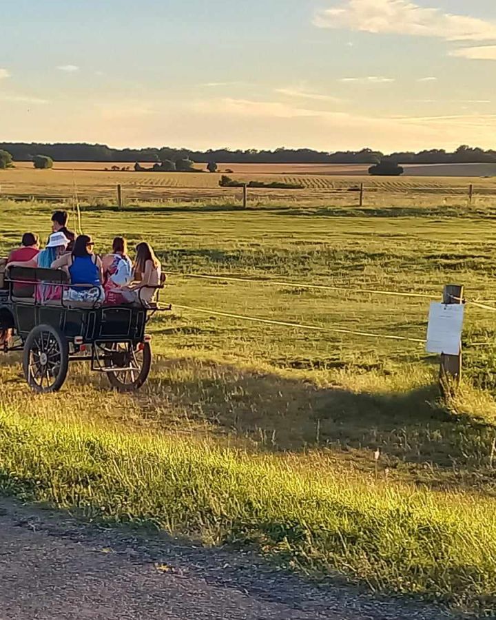 Nyári fogattúrák: Naplemente Túrák!