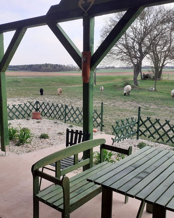 Pünkösdi és nyári nyitvatartás