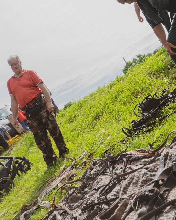 Állatvásár-szabályok, mit igen és mit nem