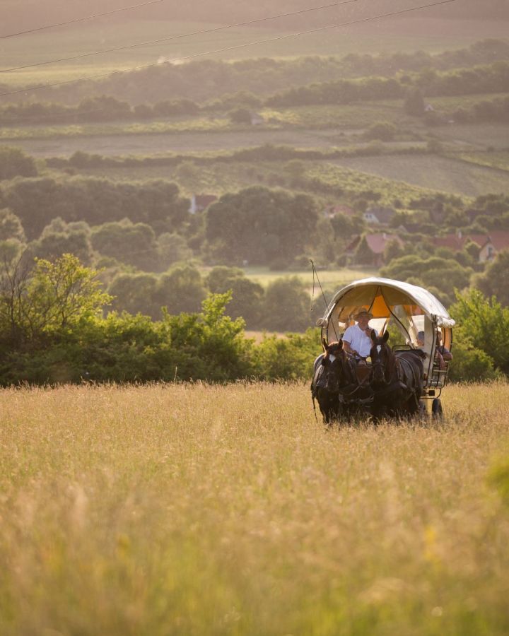 Foglaljon online fogatos, lovas kocsi-élményt