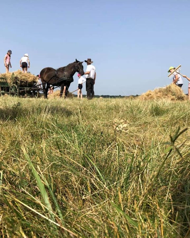 Tanyás Gazda Gyermek- és ifjúsági tábor