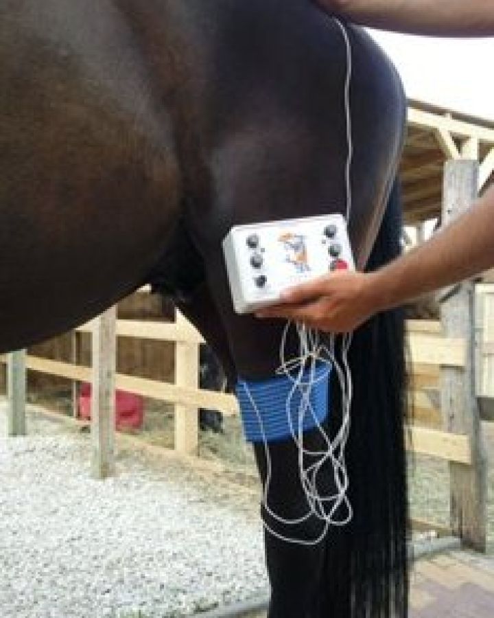 Korlátozott üzemmód