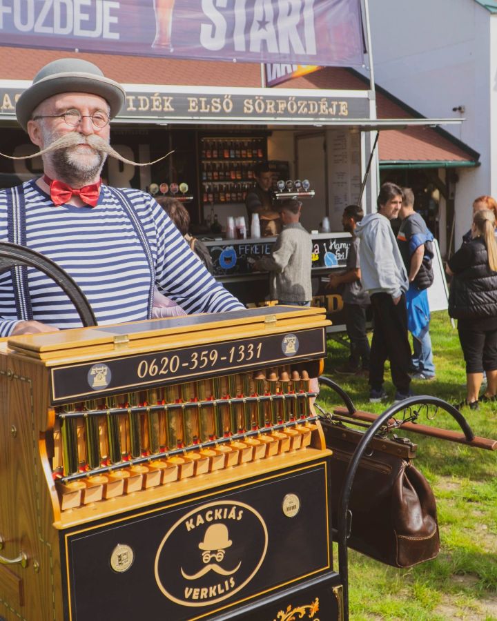 Állatvásár-szabályok, mit igen és mit nem