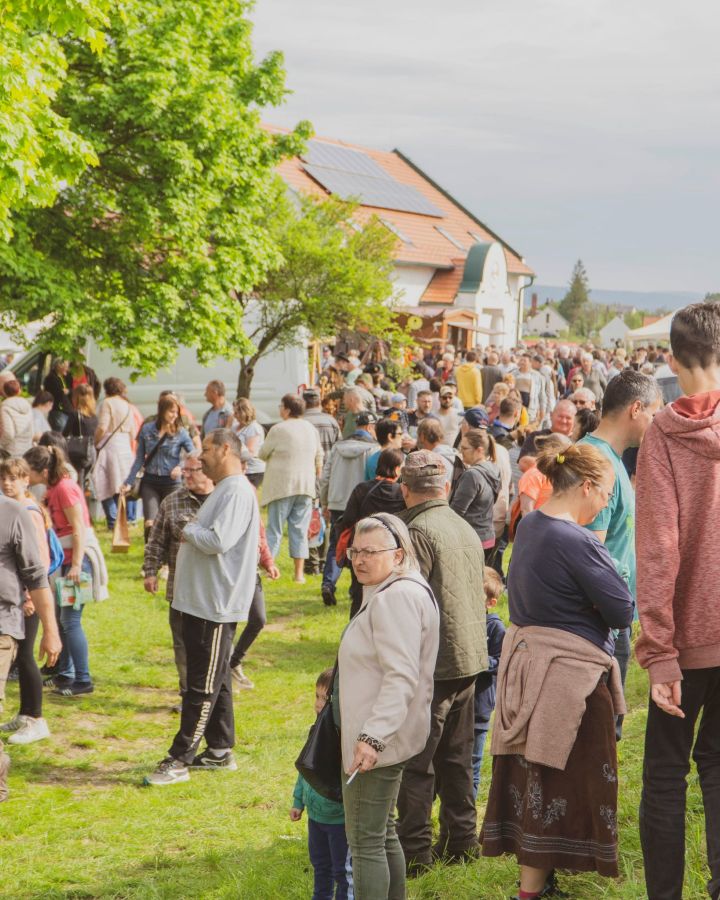 Állatvásár-szabályok, mit igen és mit nem