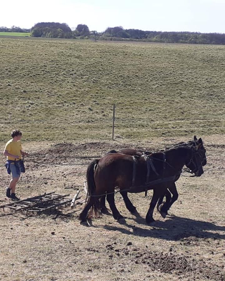 Indul a gazdAkadémia