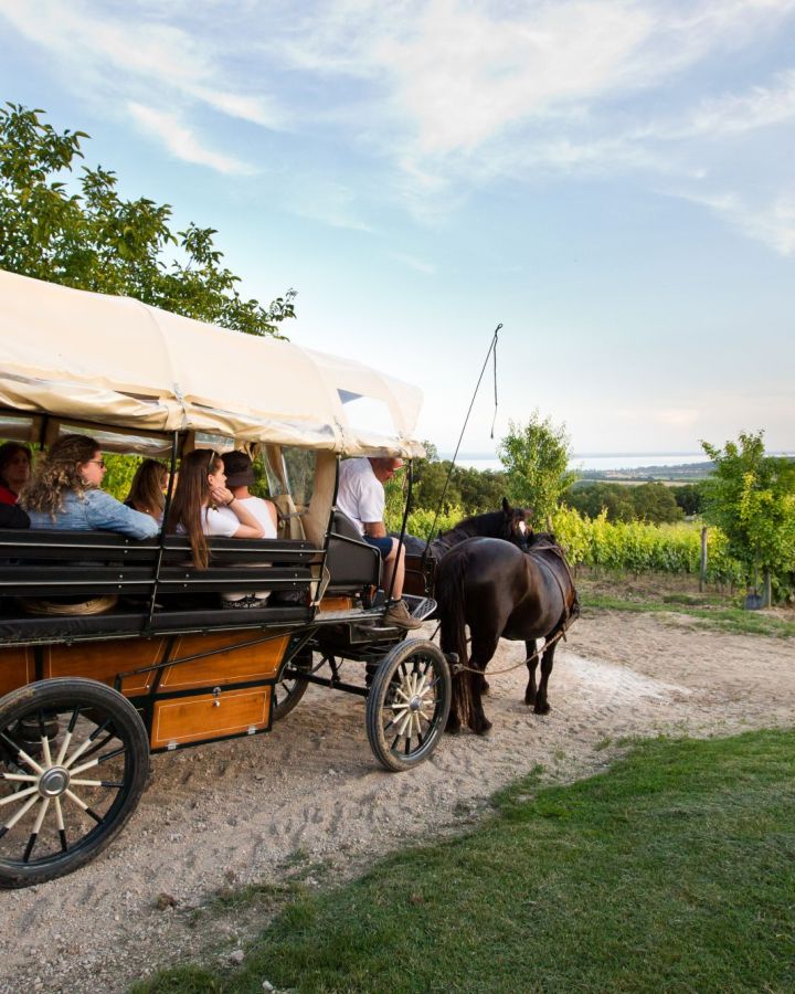 Három-napos exkluzív Balaton-felvidék lovas kocsi-túrák leírása