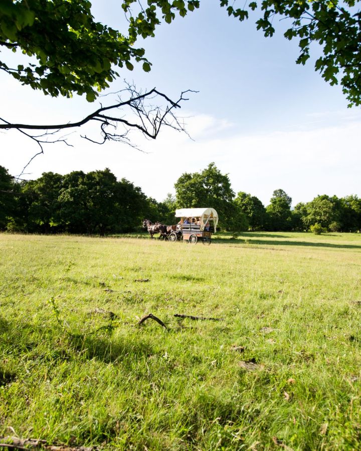 Három-napos exkluzív Balaton-felvidék lovas kocsi-túrák leírása