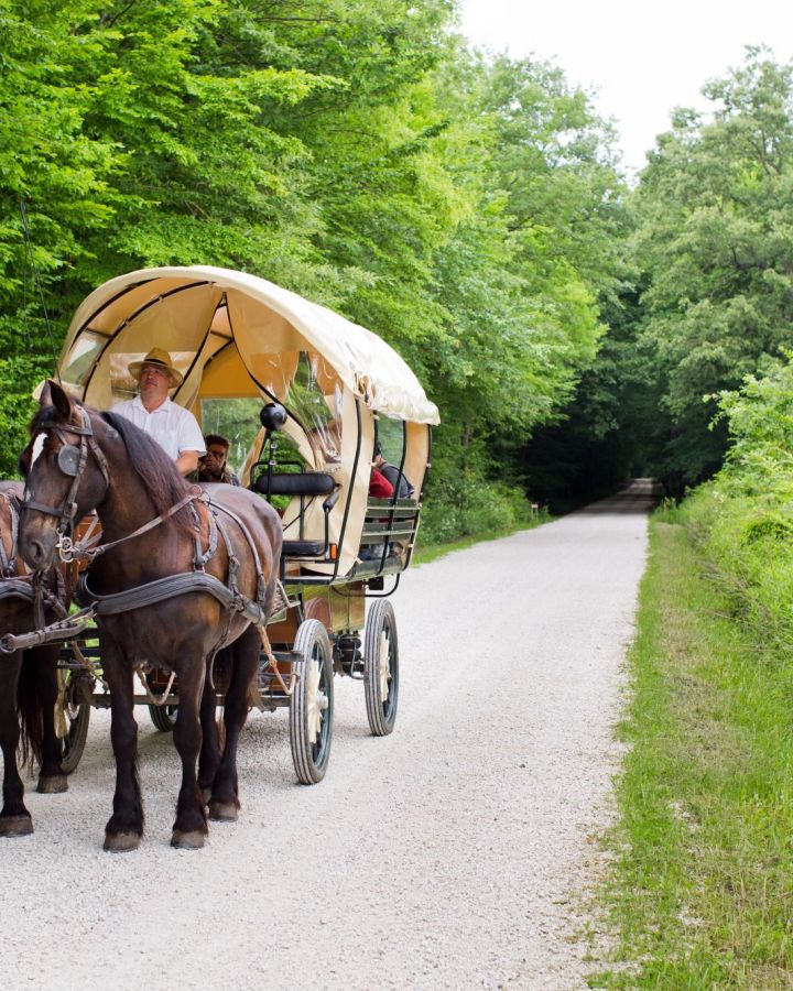 Három-napos exkluzív Balaton-felvidék lovas kocsi-túrák leírása