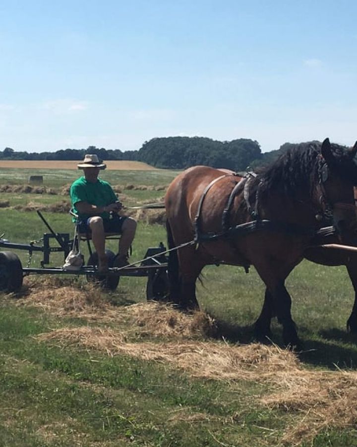 Cserkészek táboroztak és ismerkedtek a hagyományos szénakészítéssel 