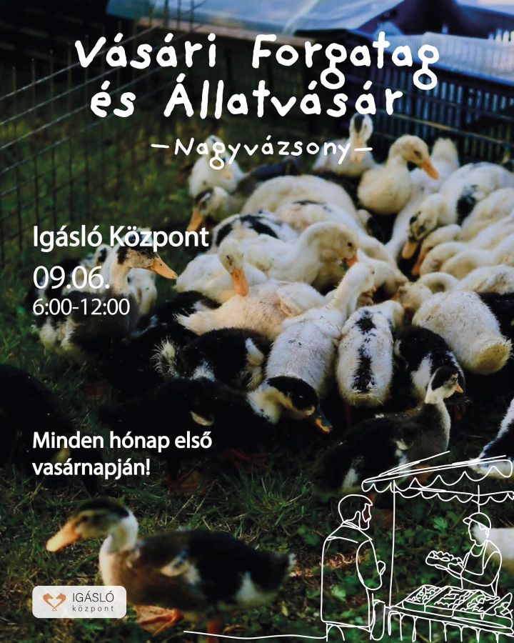 Termelői Piac és Állatvásár