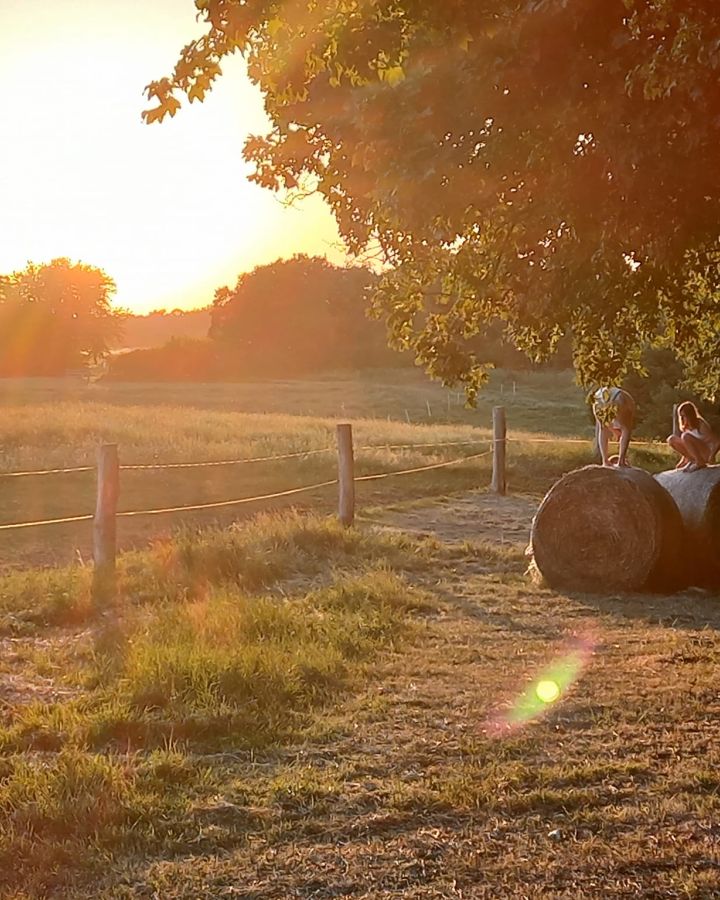 Tanyás Gazda Gyermek- és ifjúsági tábor