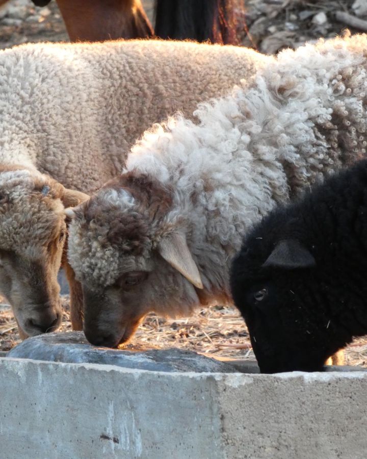 Indul a gazdAkadémia