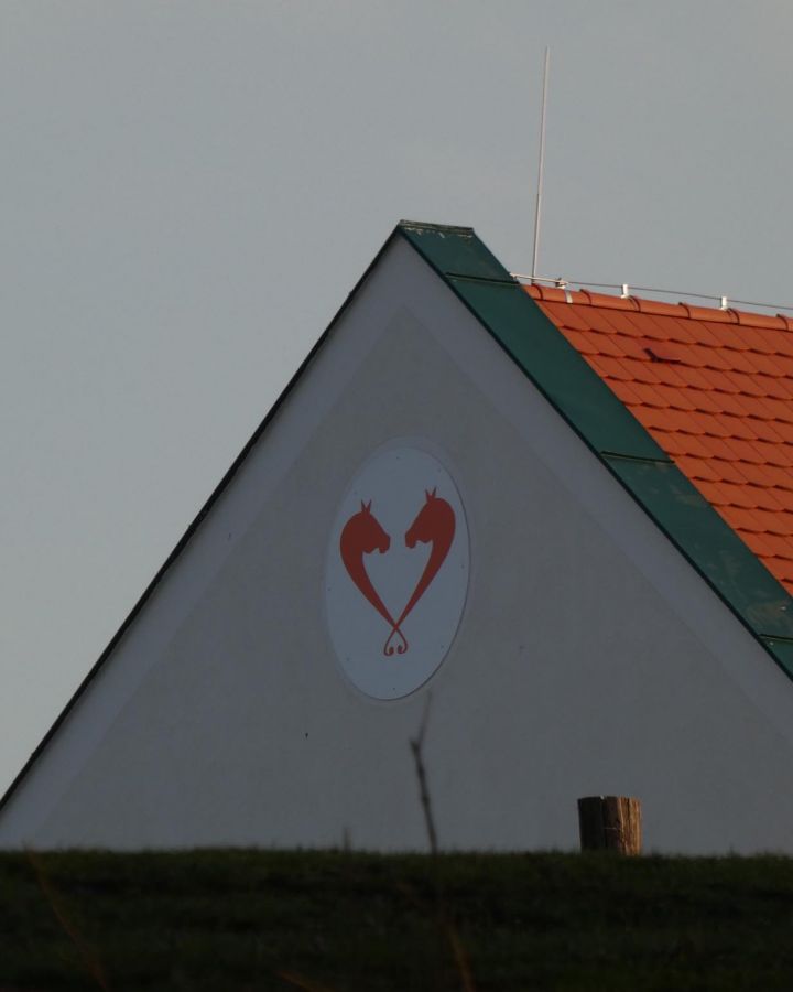 Pünkösdi és nyári nyitvatartás