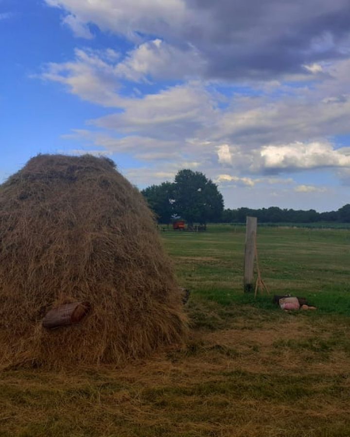 Cserkészek táboroztak és ismerkedtek a hagyományos szénakészítéssel 