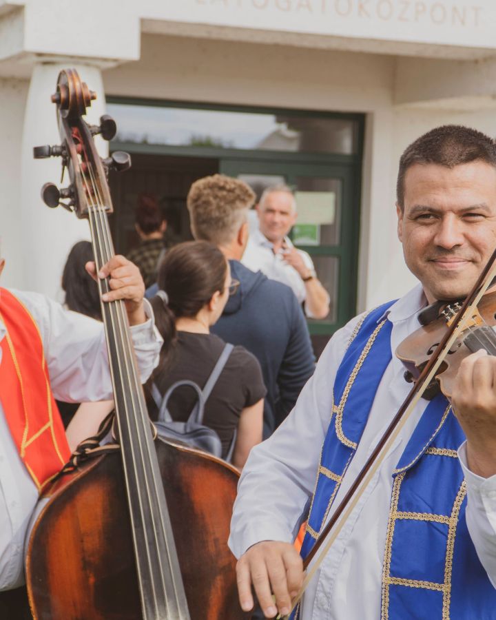 Állatvásár-szabályok, mit igen és mit nem