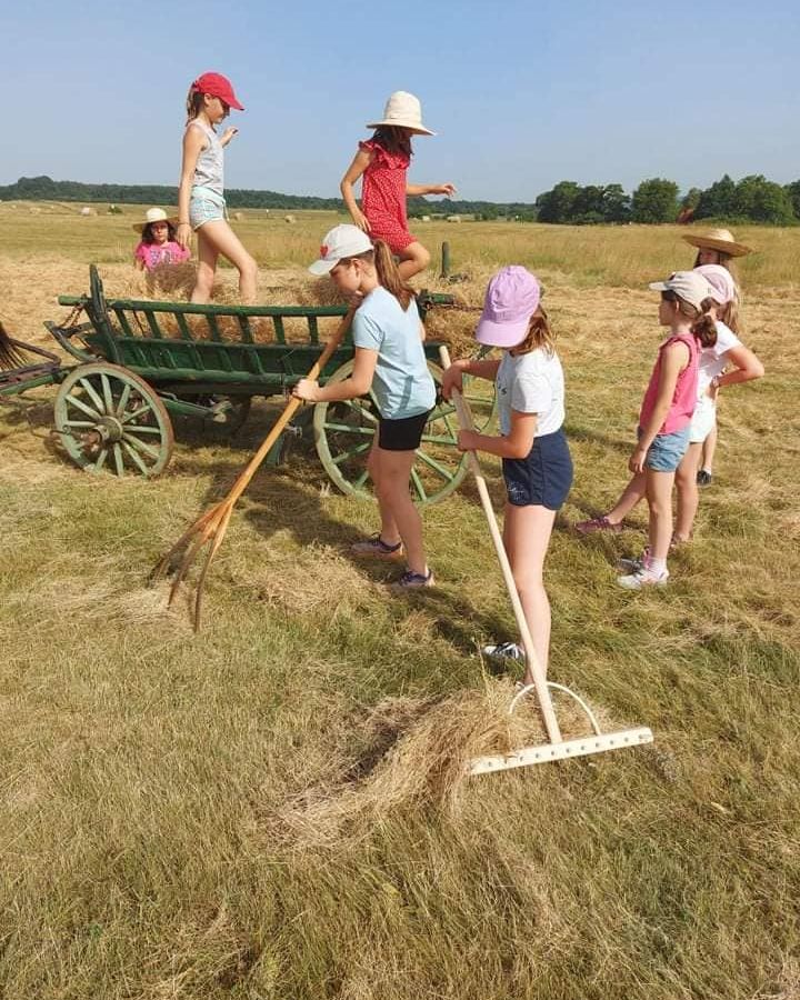 Tanyás Gazda Gyermek- és ifjúsági tábor