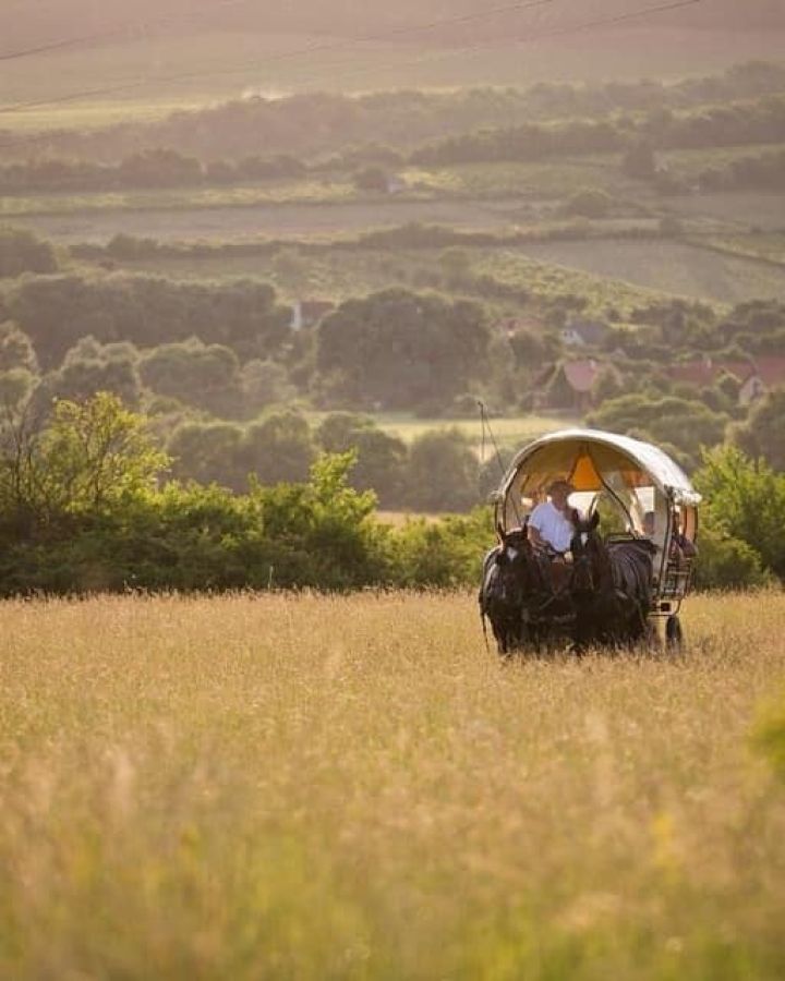 Október 2., borvacsora-túra: még 10 helyünk van!