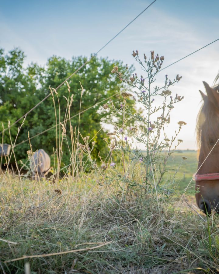 Indul a gazdAkadémia