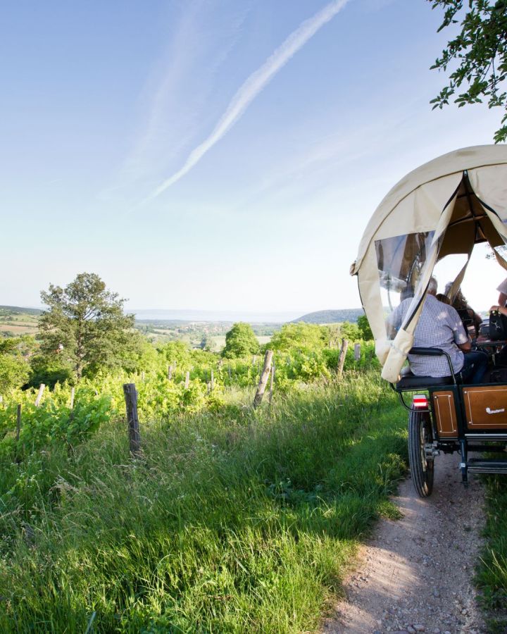 Foglaljon online fogatos, lovas kocsi-élményt