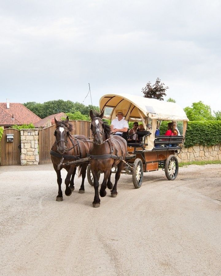 Október 2., borvacsora-túra: még 10 helyünk van!