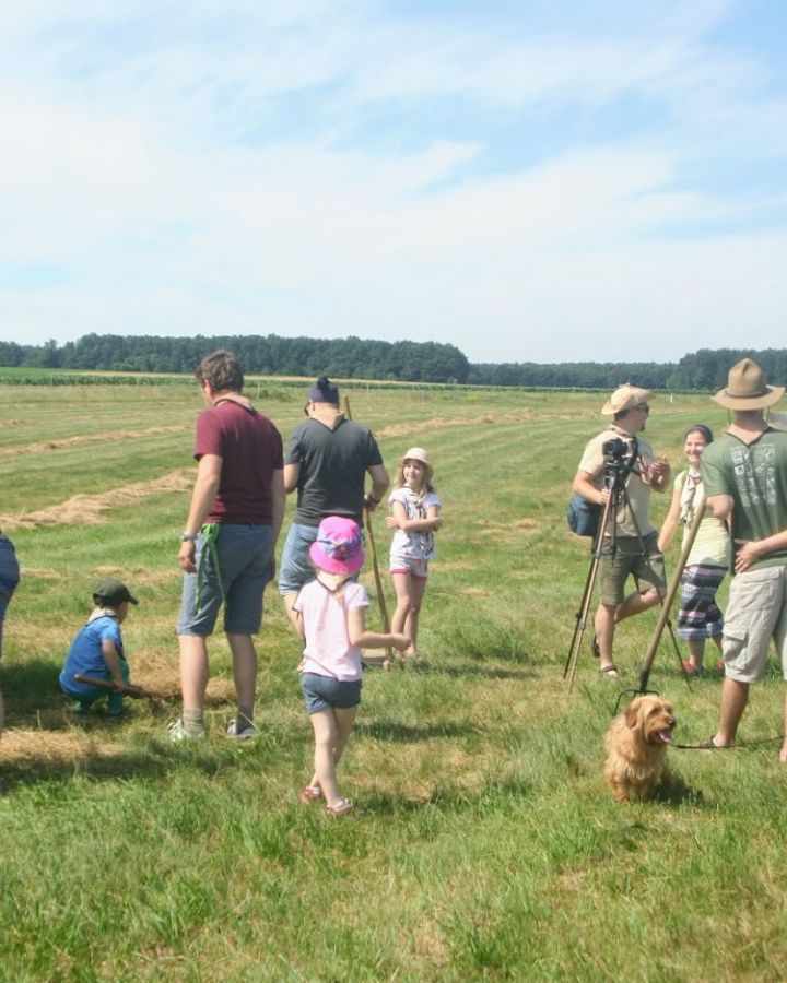 Cserkészek táboroztak és ismerkedtek a hagyományos szénakészítéssel 