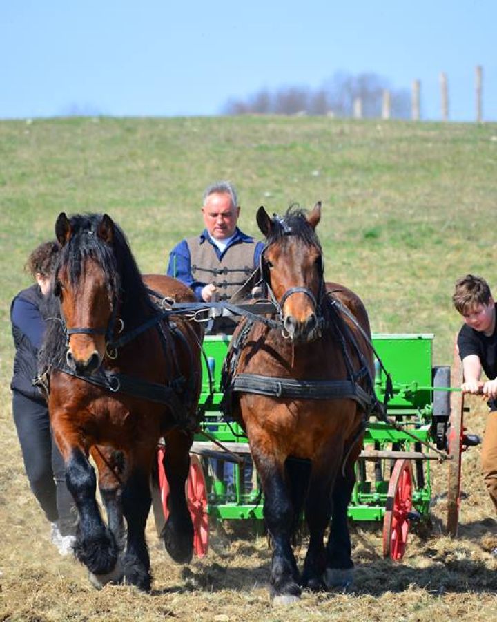 Indul a gazdAkadémia