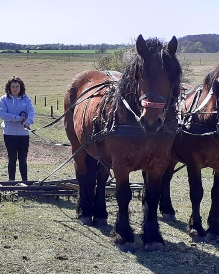 Indul a gazdAkadémia