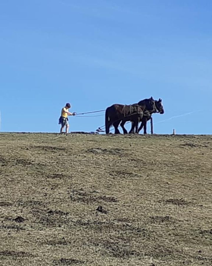 Indul a gazdAkadémia