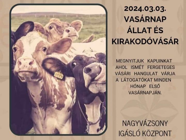 Március 3: újra állatvásár