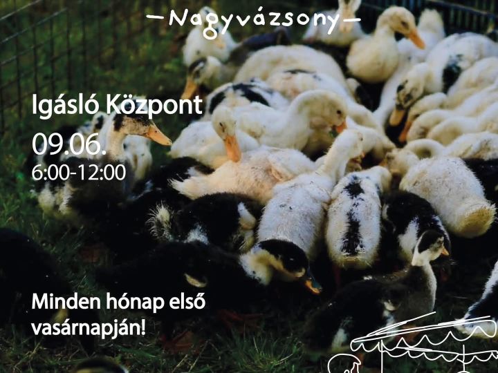Termelői Piac és Állatvásár