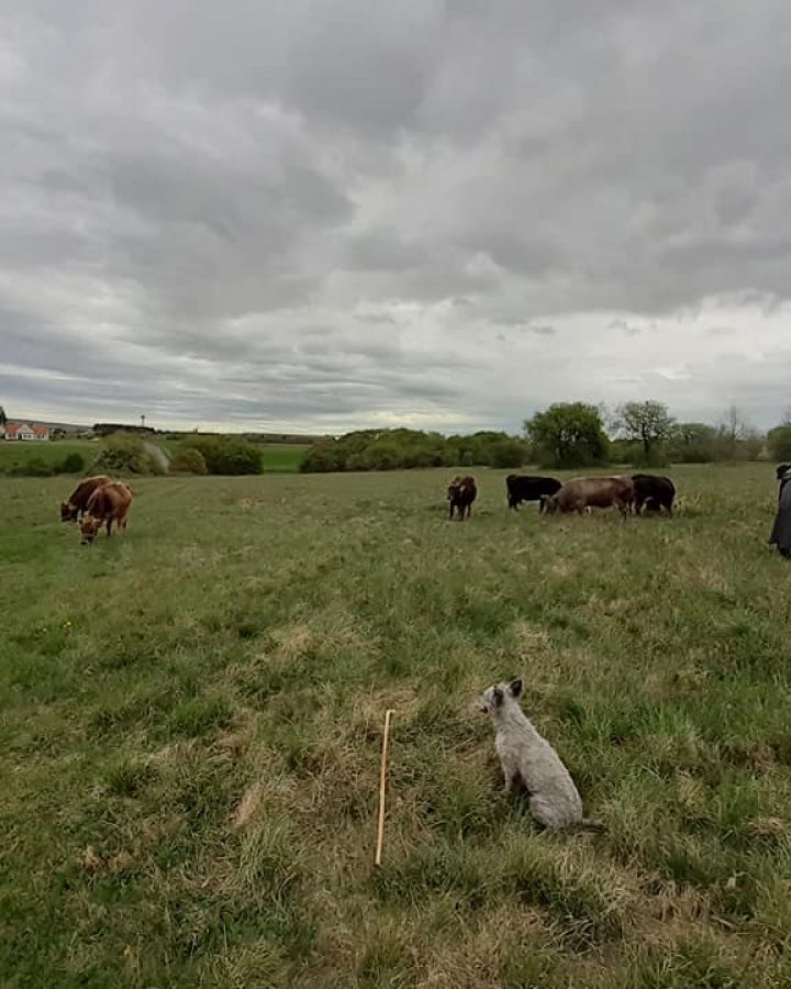 Regős Bendegúz Program - avagy Indul a bakterház-hét kamaszoknak